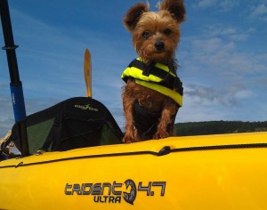 lexie and kayak