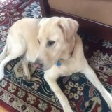 IMG_3069-e1548627368478