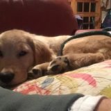 IMG_8181-e1548627486330