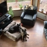 RYs4pm7zS7Gsx79g8VojQ