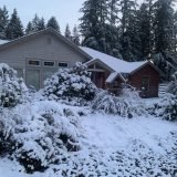 SW45zCLdSwuT7t1FIV48LA