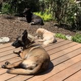 htd0Xa4SWqtGBnRk6VLZw