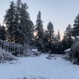 vg94uhK1RiW3VLMmvY9Lw